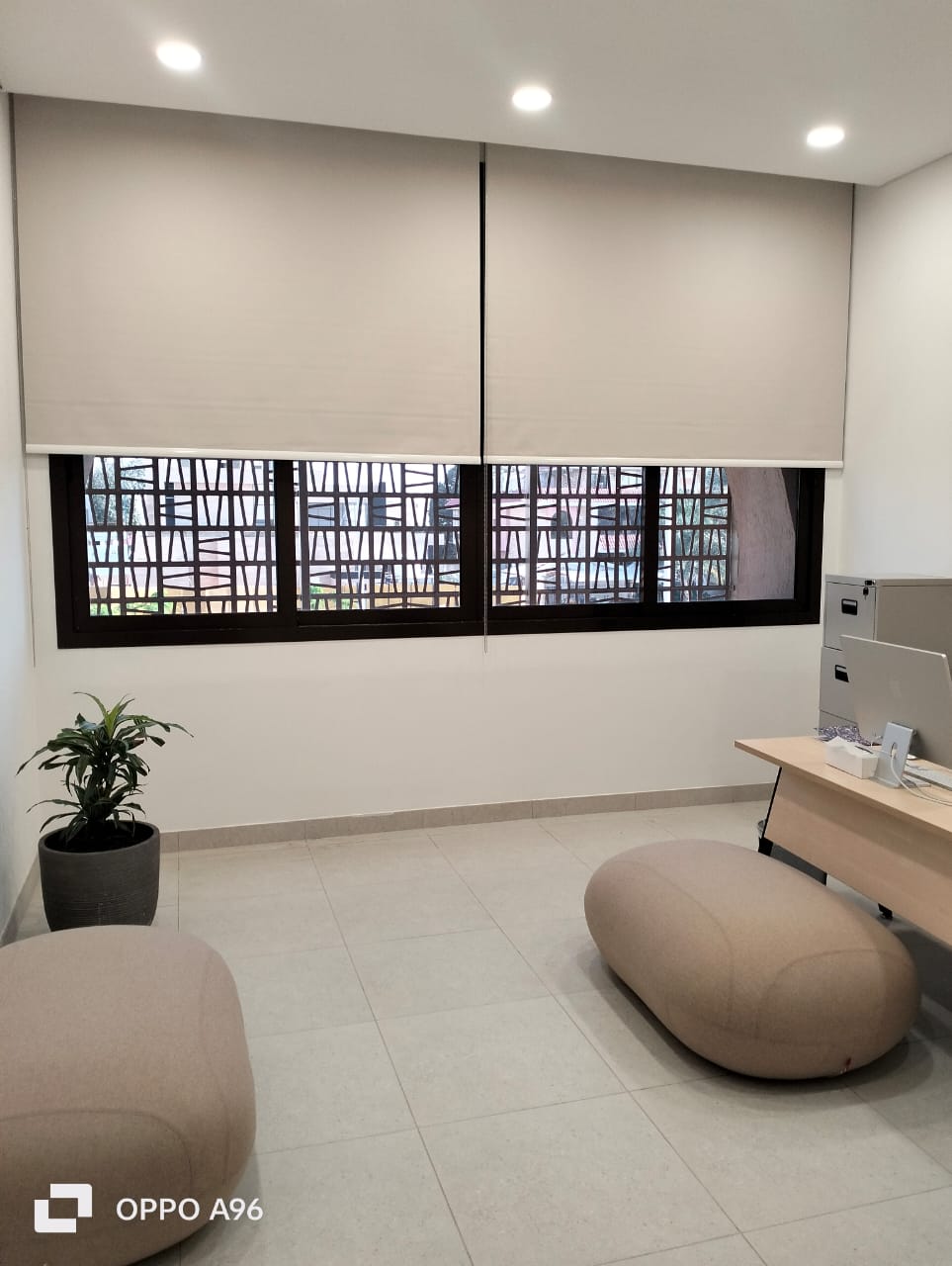 Smart Motorized Blinds